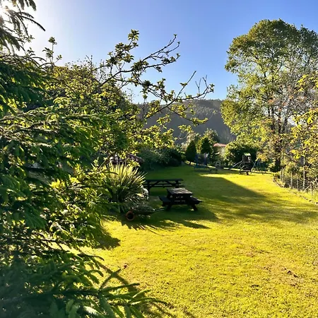 La Nozal De La Pena *